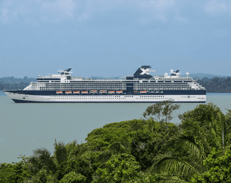 סלבריטי אינפיניטי-celebrity infinity